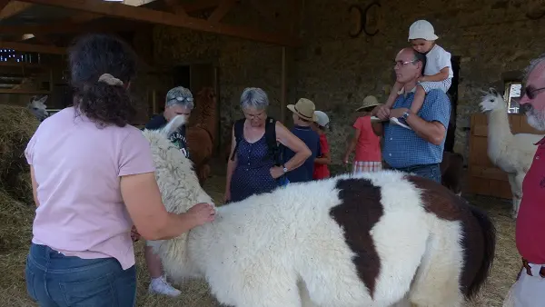 PROD53 ferme kerla