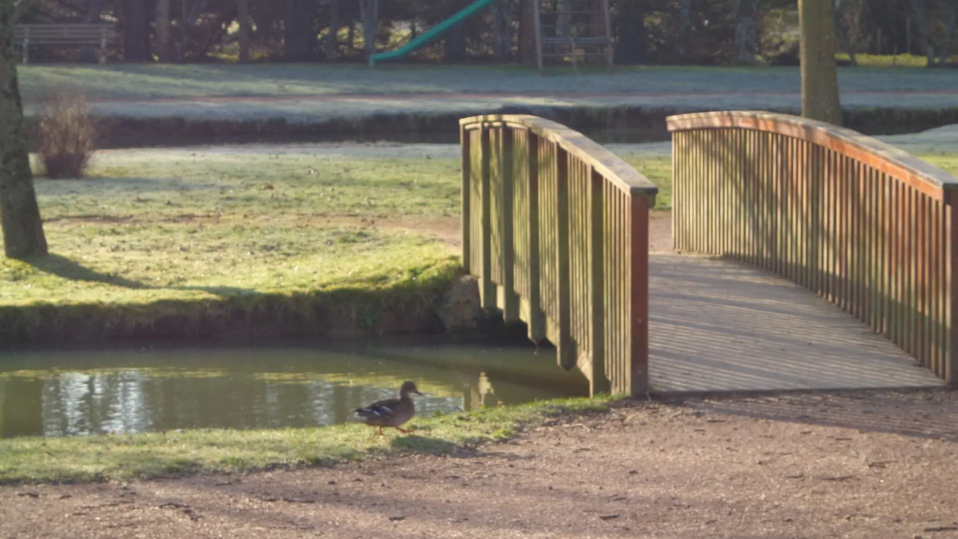 Parc Jean Moulin Saint-Calais (6)