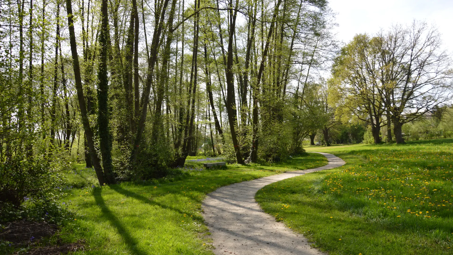 Parc du Plessis GSI