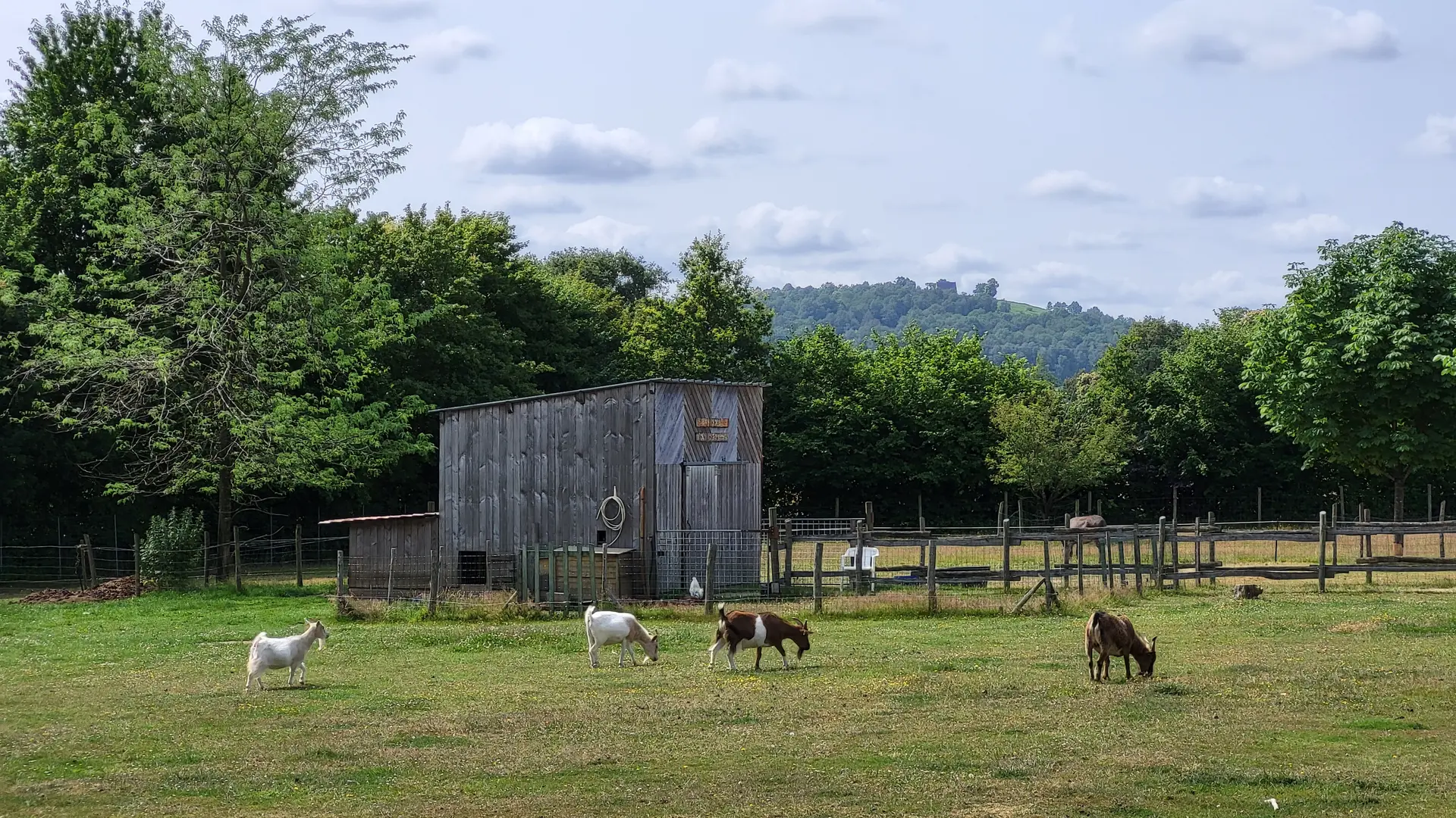 Parc des Bleuets - mini ferme