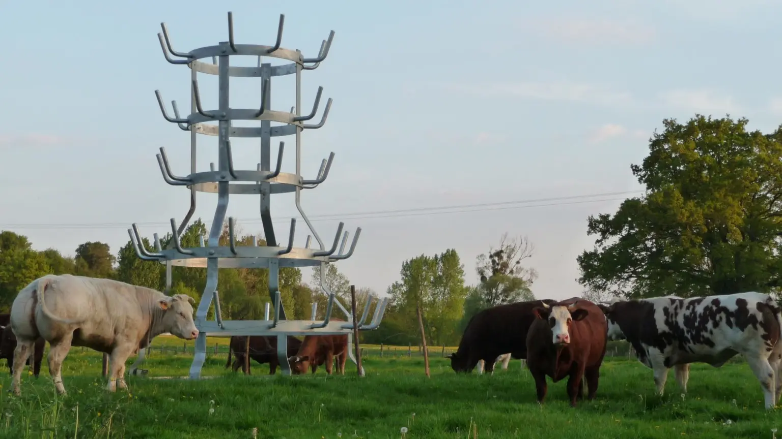 Piacé le Radieux - Entre N. Hérisson et M. Duchamp