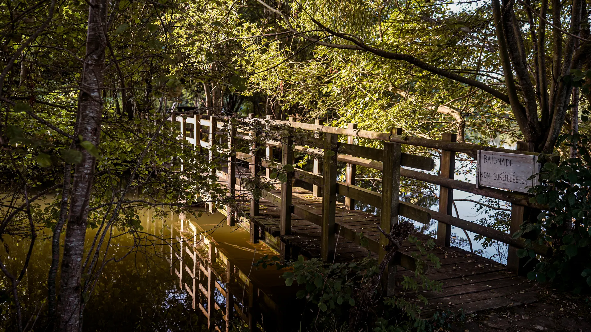 Pont de l'île du plan d'eau