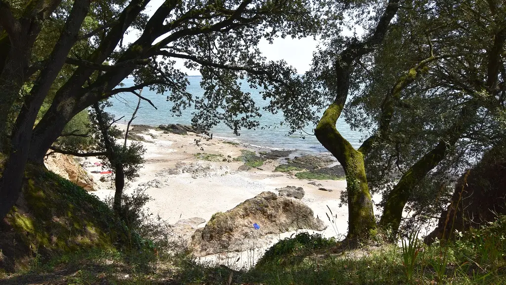 Plage du Rocher du Lion