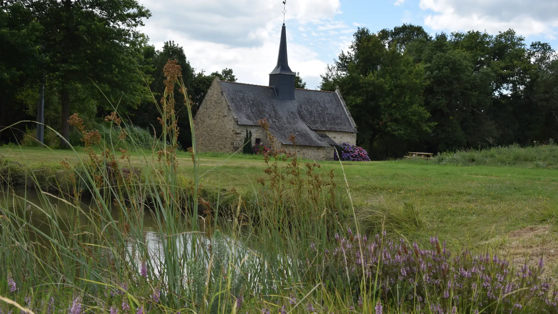 Planté 2020 Près de l'étang