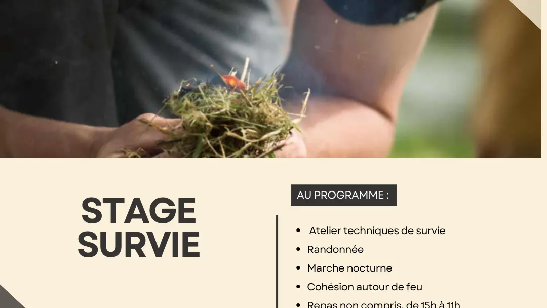 Stage survie