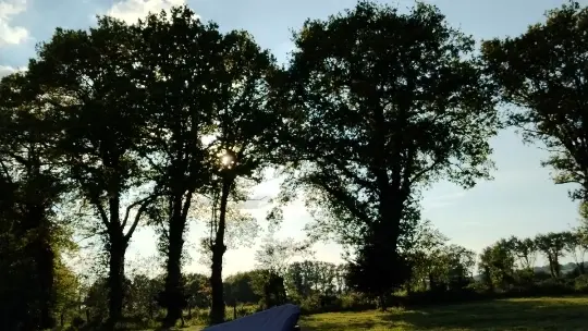 extérieur aire naturelle