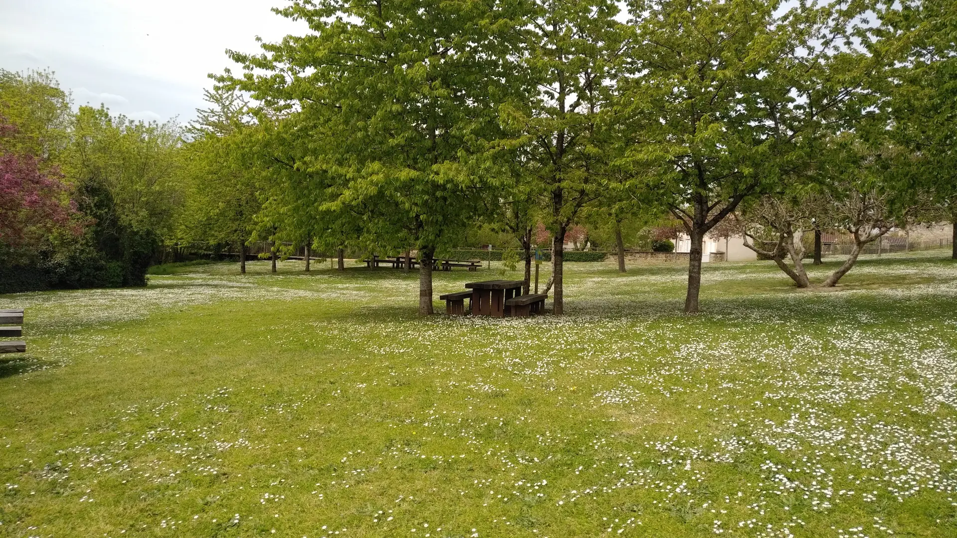 Aire de pique-nique à côté de l'abbaye