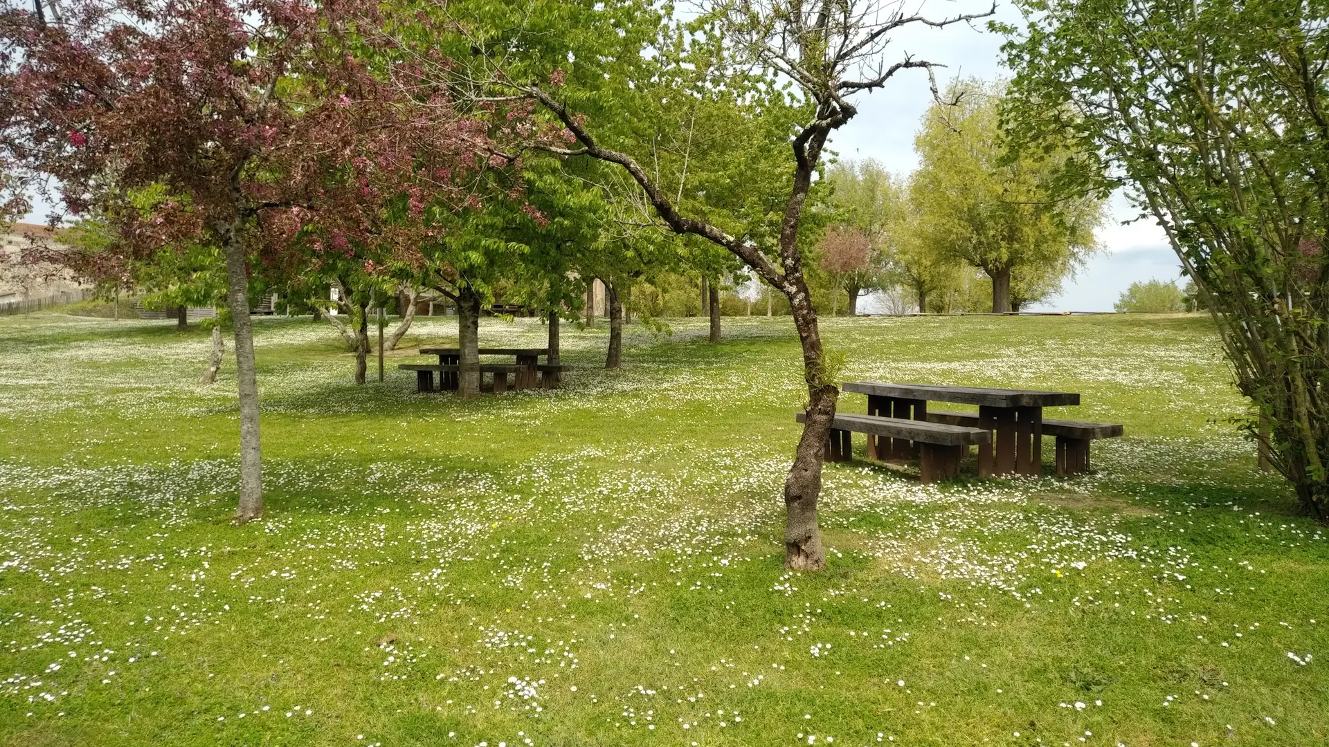 Aire de pique-nique à côté de l'abbaye