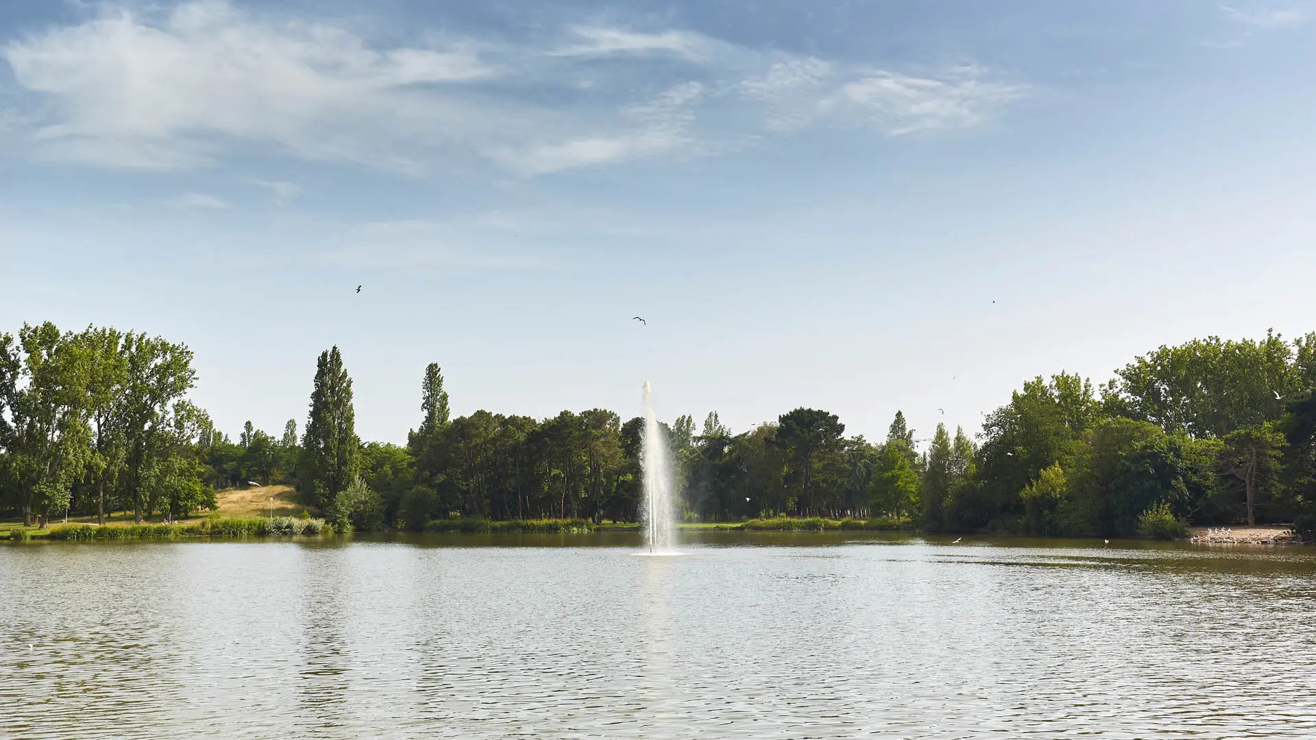 Etang du Parc Paysager de Saint-Nazaire