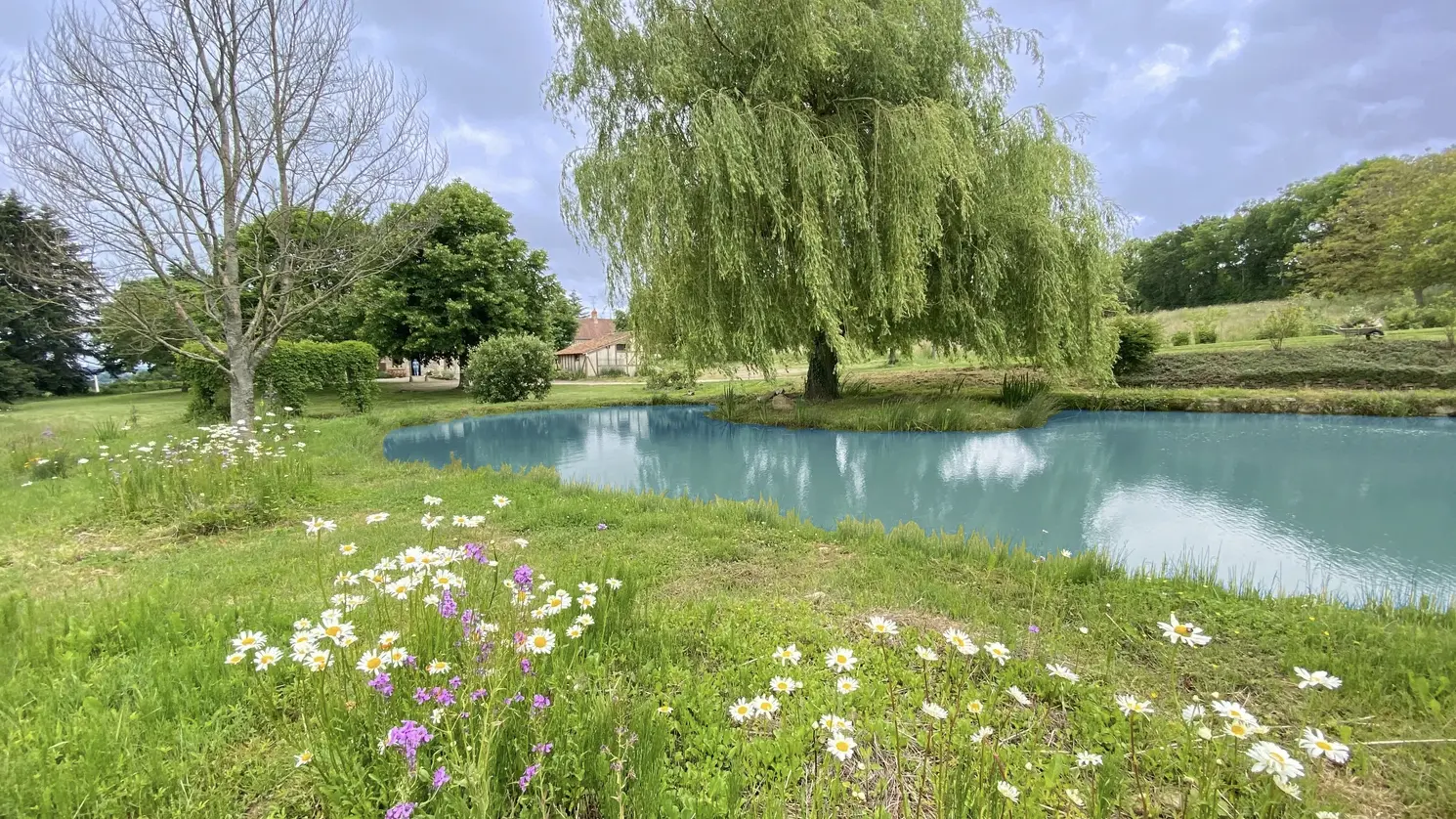 Gîte Le Rocher - Moulins-le-Carbonnel - mare et espace vert