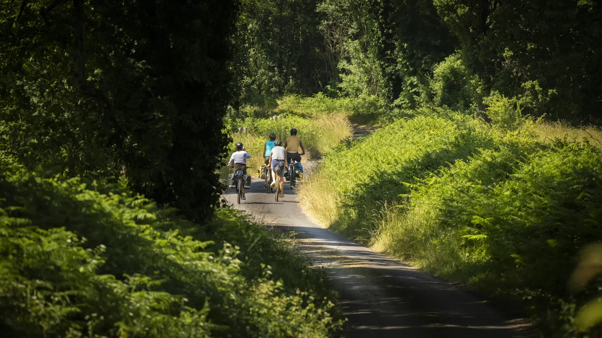 Petite route en Vallée de la Sarthe