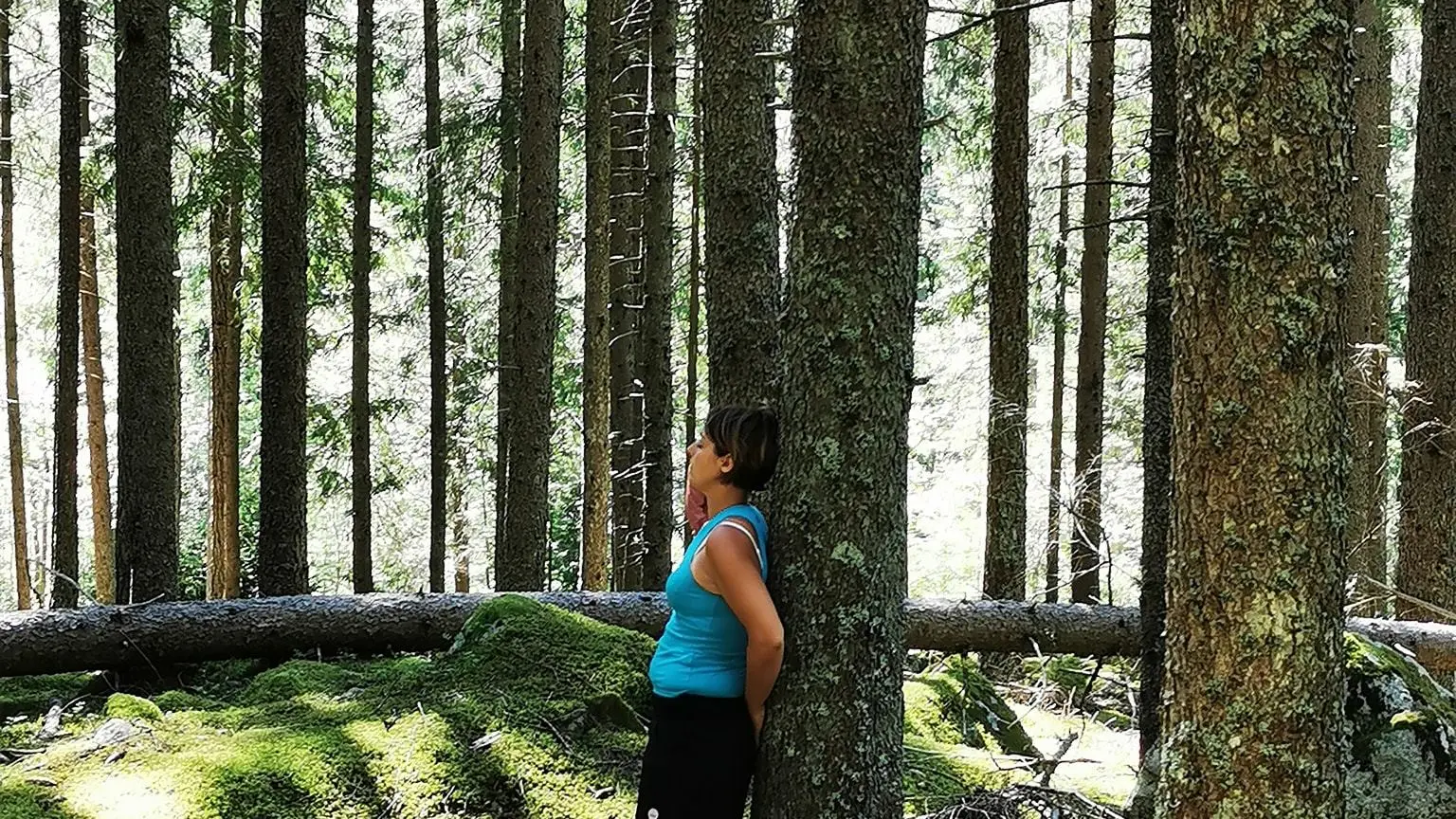 Sylvothérapie ©Bien hetre en foret