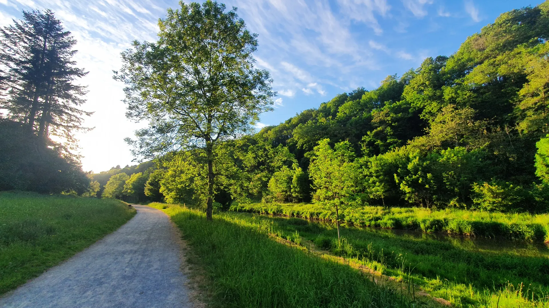 Trail Coupeau-Vicoin 004
