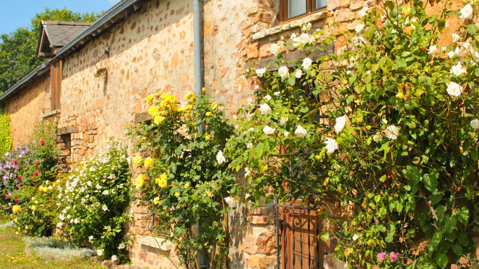 Gîte de Valifer - Extérieur