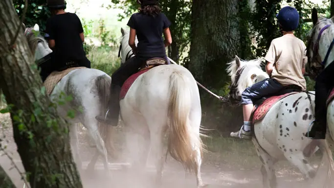 Vallee-de-la-sarthe-chevaux-mesangeres-iti-72
