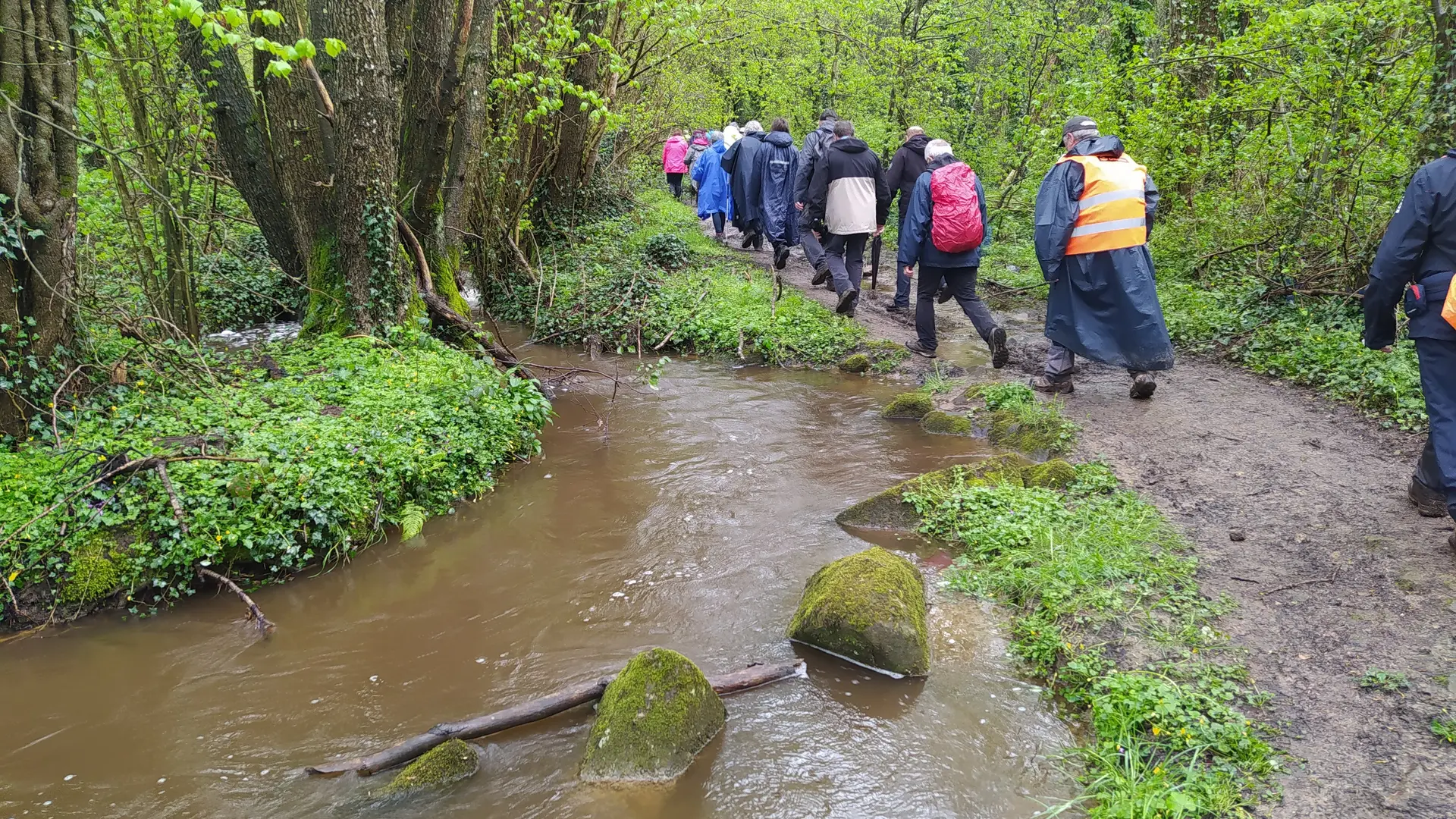 Vallée du Moulin du pré - Landivy 53 © Bocage Mayennais - 43