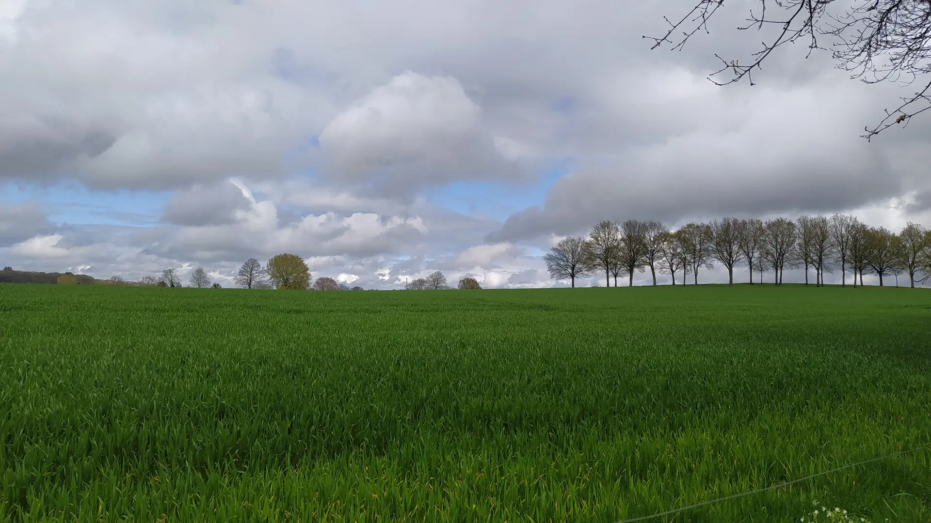 Vallée du Moulin du pré - Landivy 53 © Bocage Mayennais - 44
