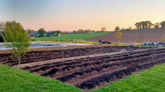 les jardins d'Amérian : vue des jardins