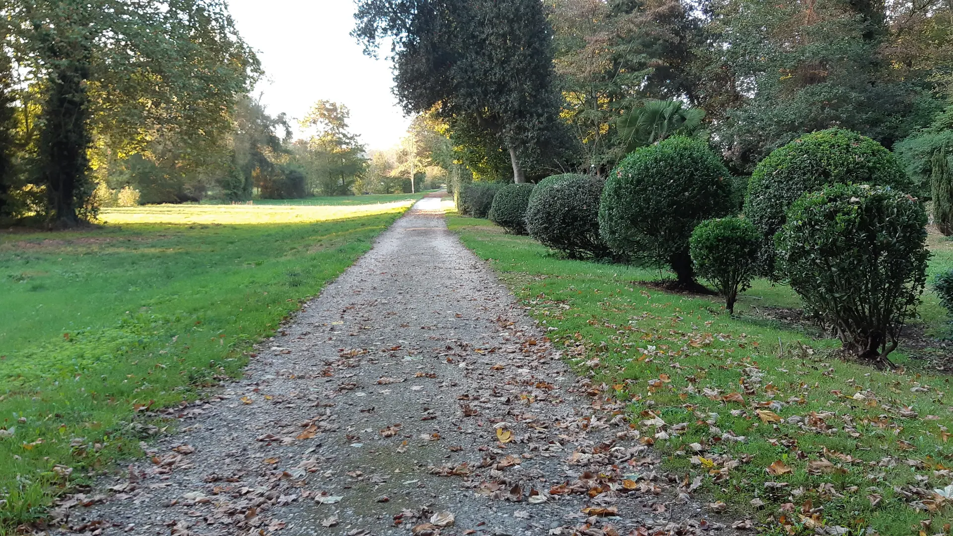 allée parc à l'anglaise (c)S.Lancelot