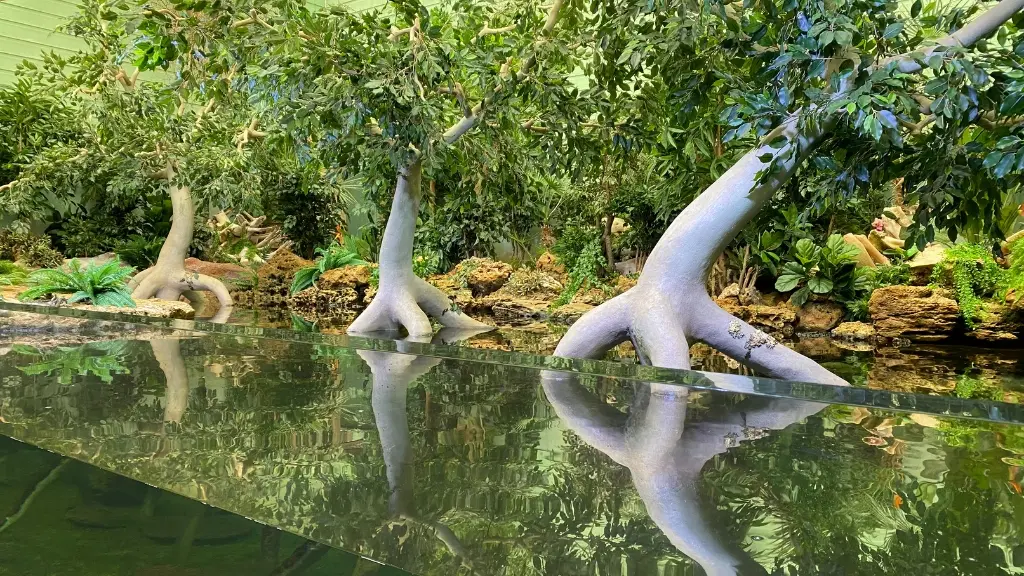 aquarium-vendee-talmont-bourgenay-mangrove
