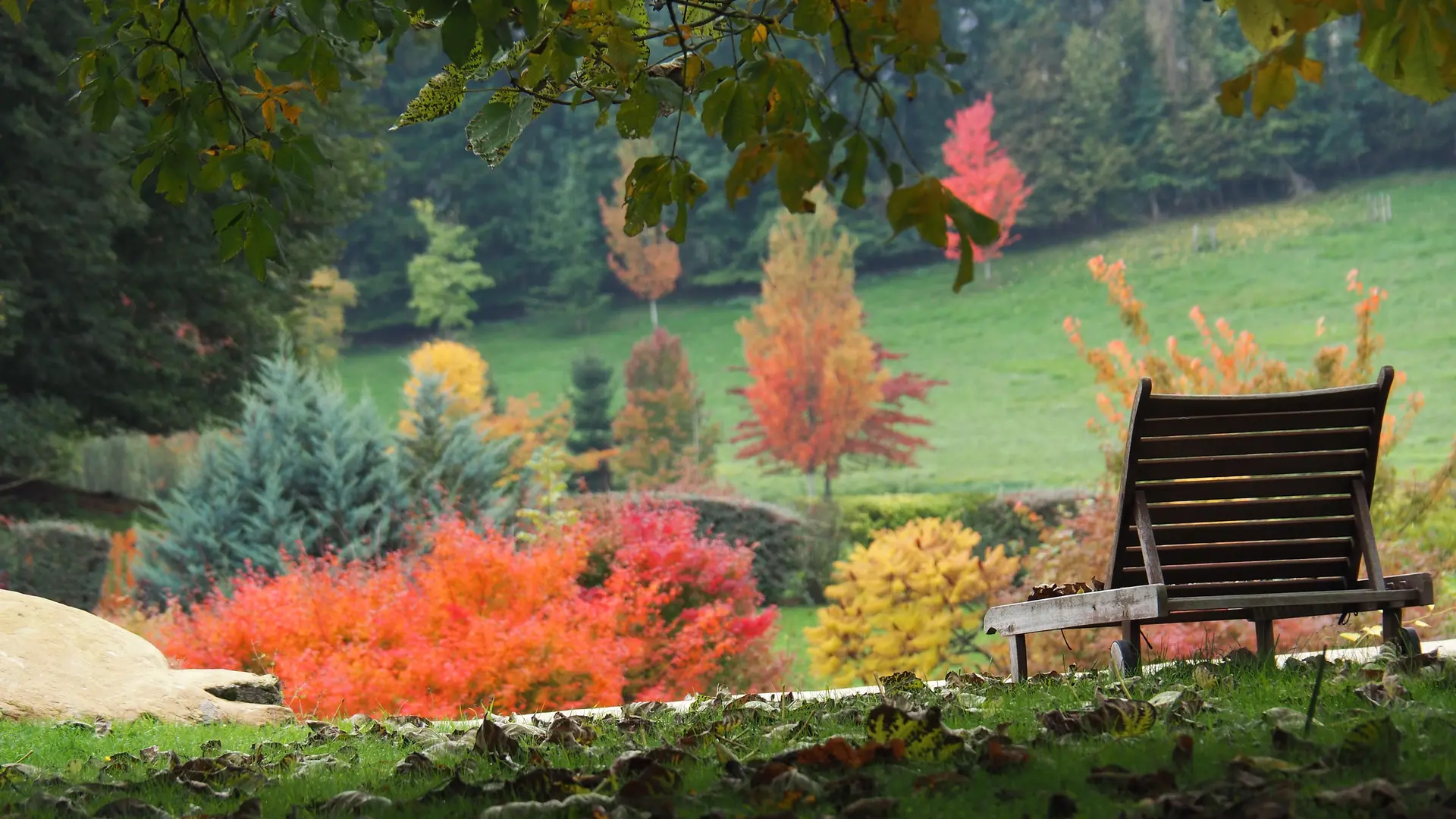 automne chaises