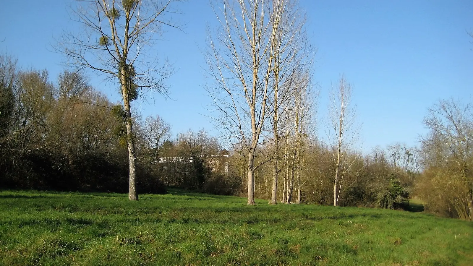 357956 - ballade
