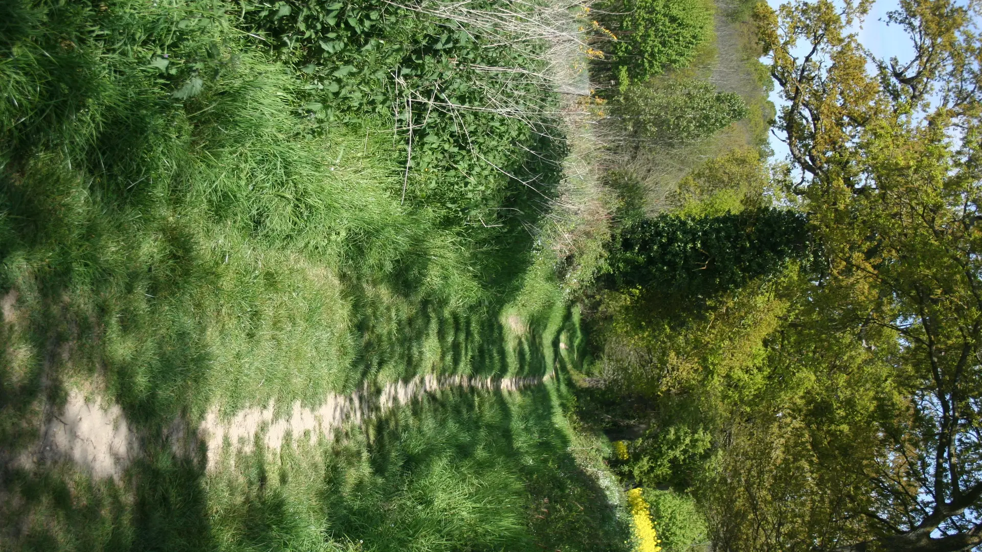 boucle-plateaux-et-vallons-de-louette-1