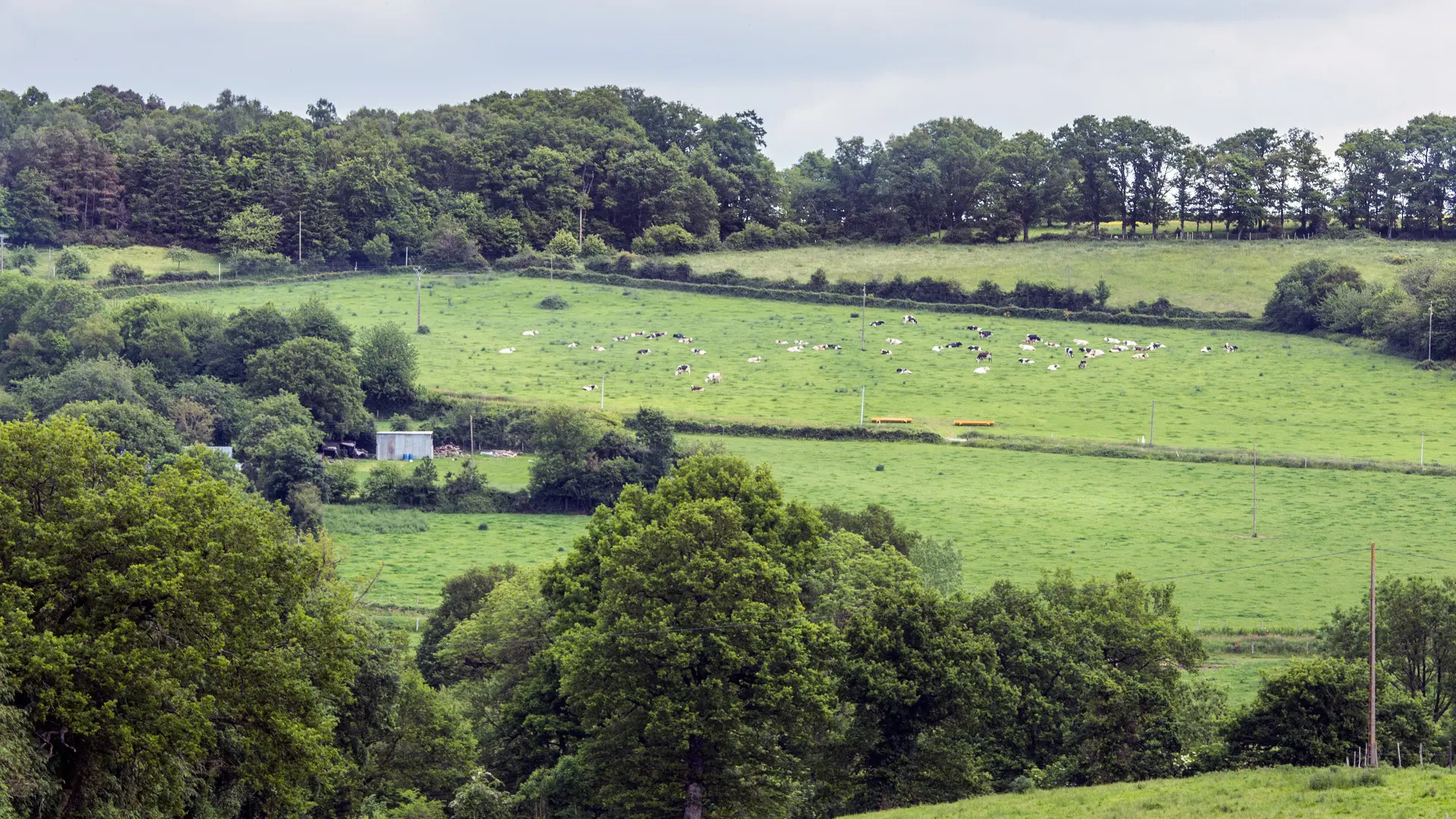 Paysage de campagne vers Averton