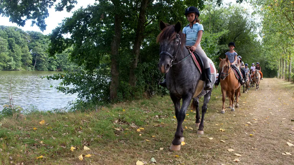 centre-equestre-ambrieres-les-vallees-53-asc-4