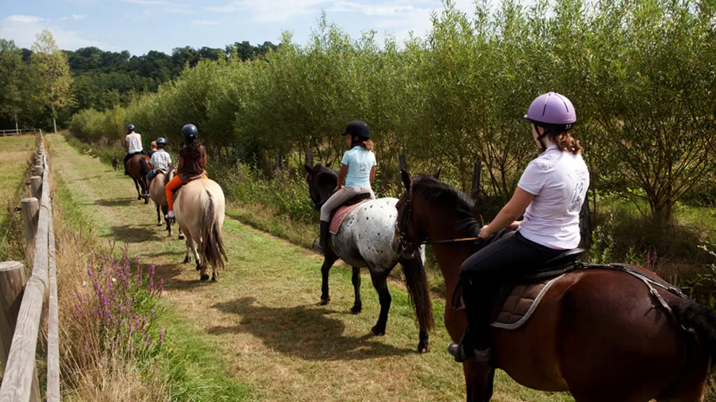 centre-equestre-ambrieres-les-vallees-53-asc-3