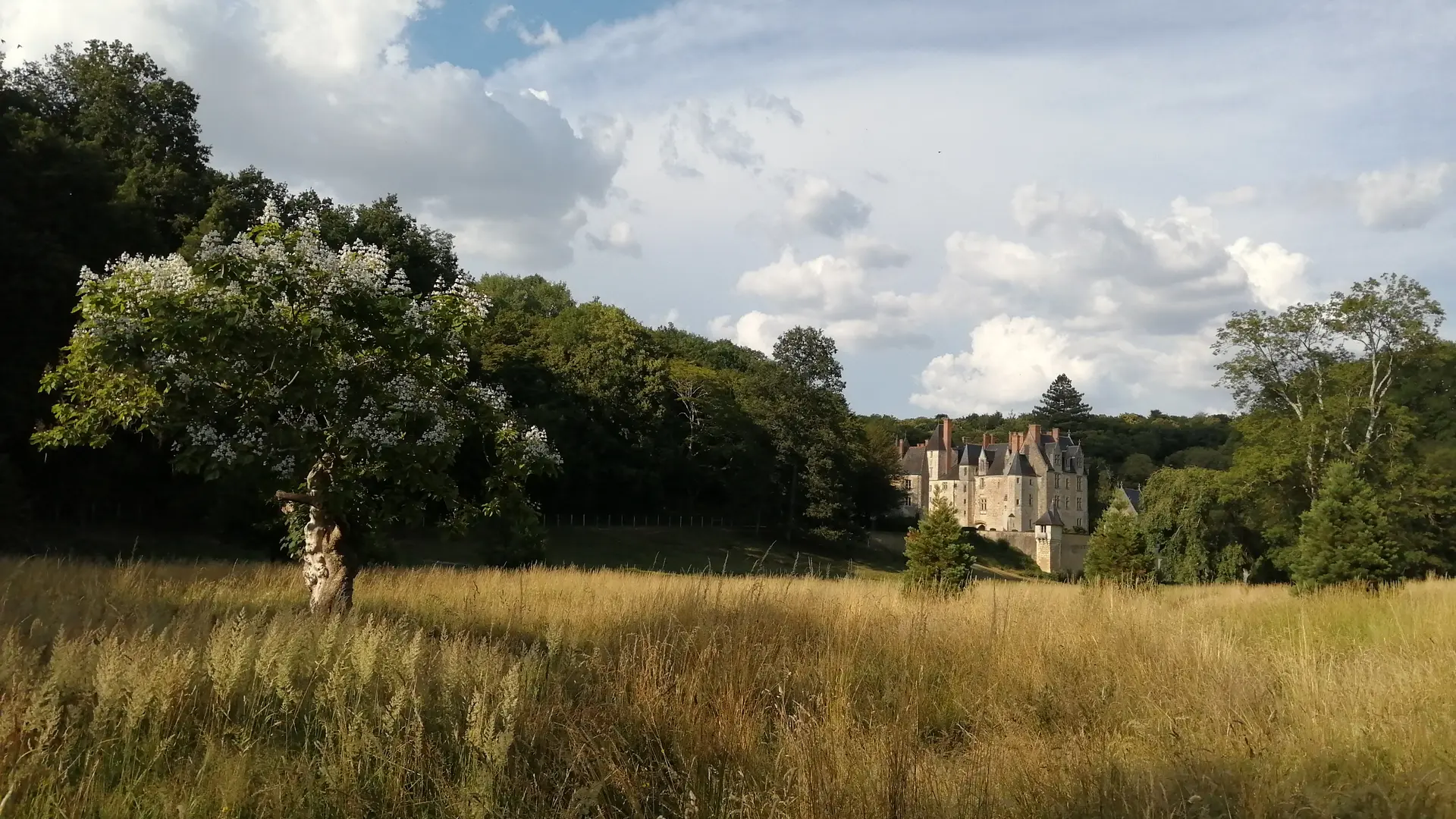 Château de Courtanvaux