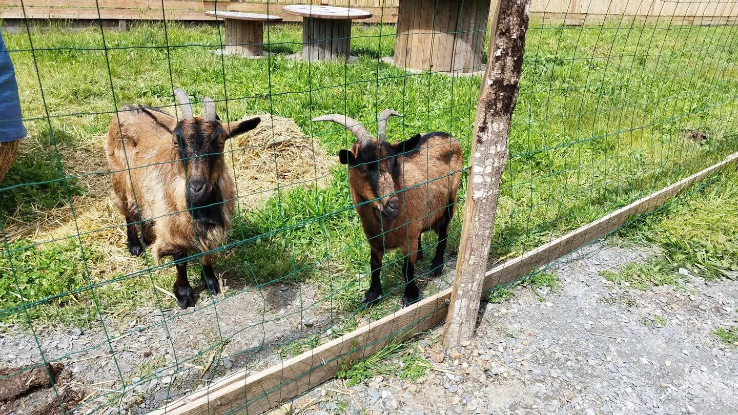 chalet-spay-chevres