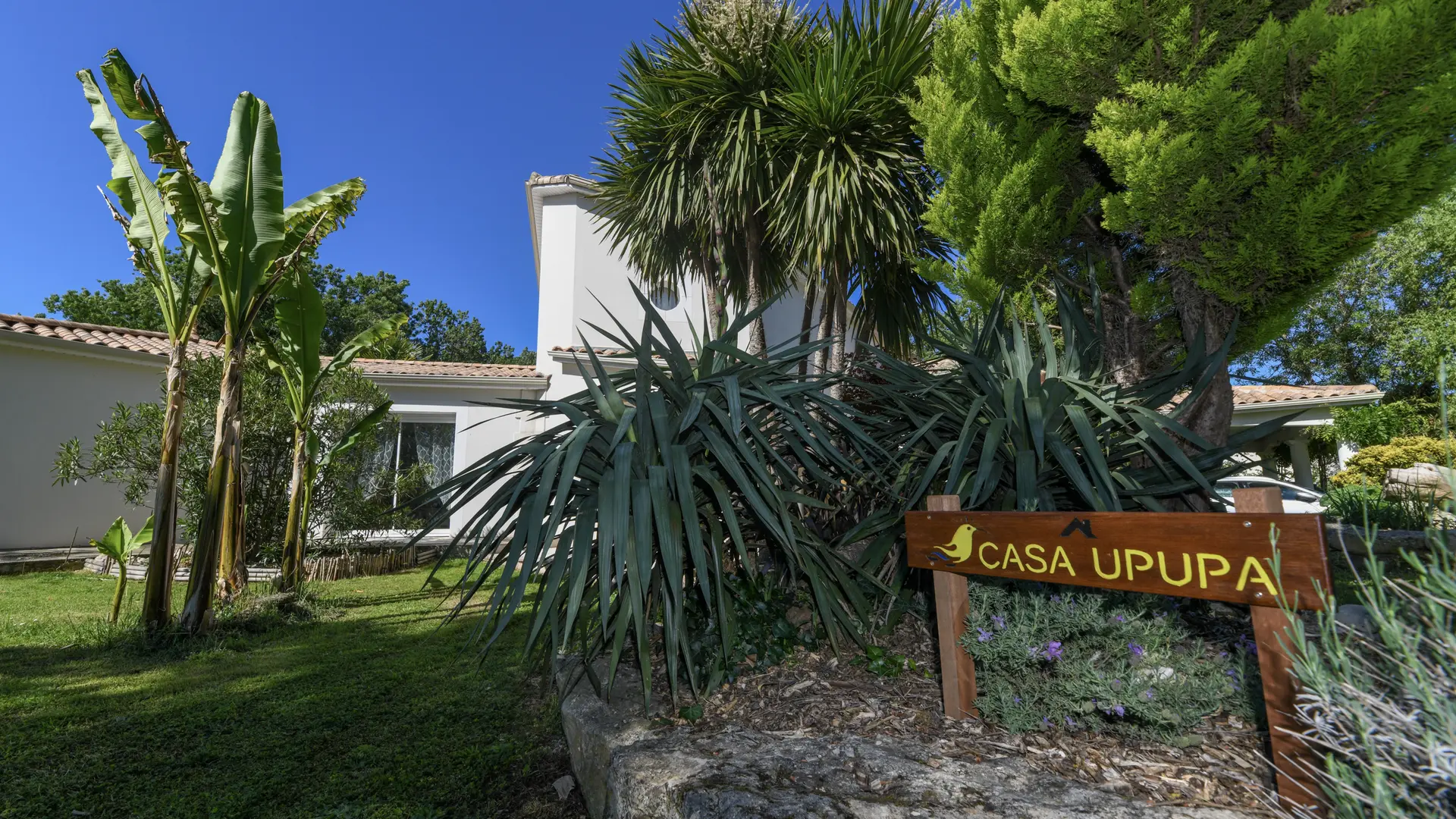 chambre-d-hotes-casa-upupa-2021-montreuil-fontenay-vendee-85200-12