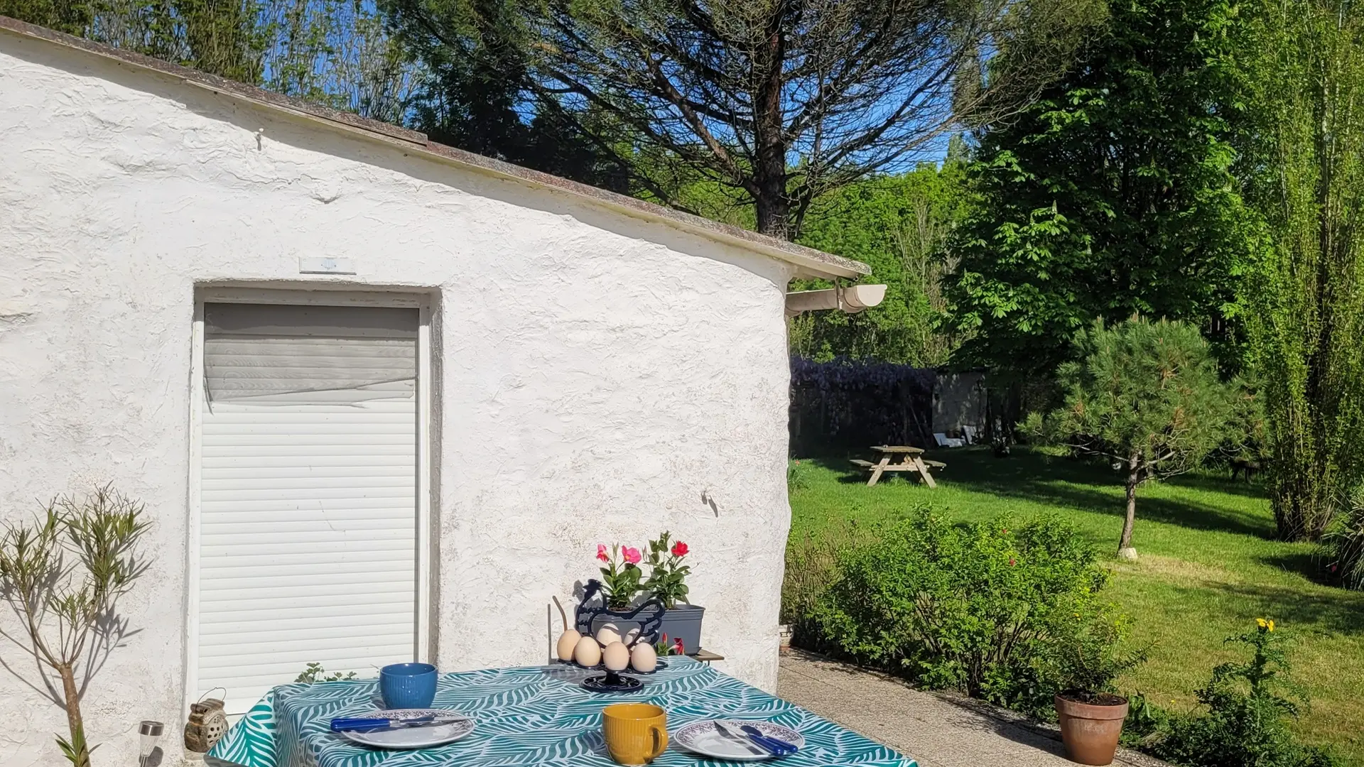 chambre-d-hotes-l-eden-marouin-mouzeuil-saint-martin-vendee-marais-poitevin85370-1 (11)