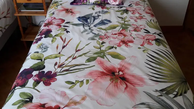 chambre-d-hotes-la-jolie-maison-85370-le-langon-16