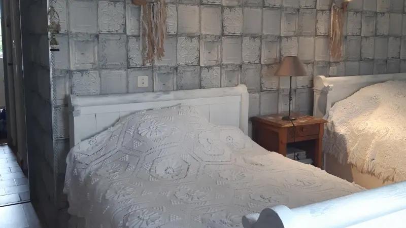 chambre-d-hotes-le-lavoir-charrier-85200-doix-les-fontaines-fontaines- (10)