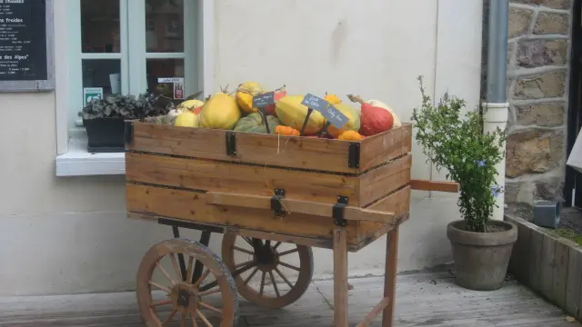 Légumes du jardin potager à vendre