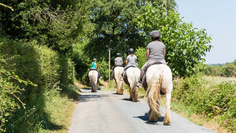 Balade à cheval à deux pas de Laval