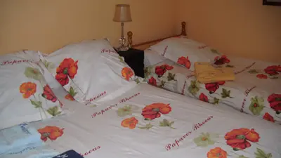 chez-mme-perraud-chambre-d-hotes-en-briere-729