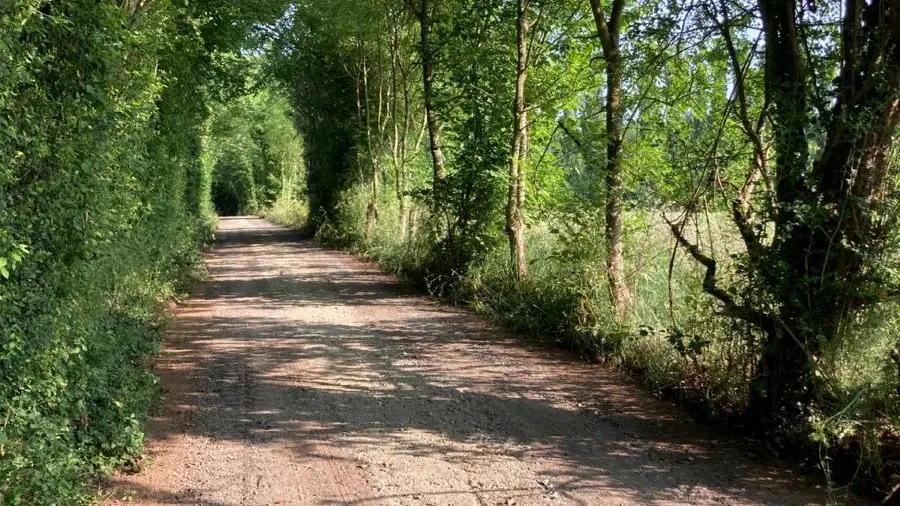 chemin