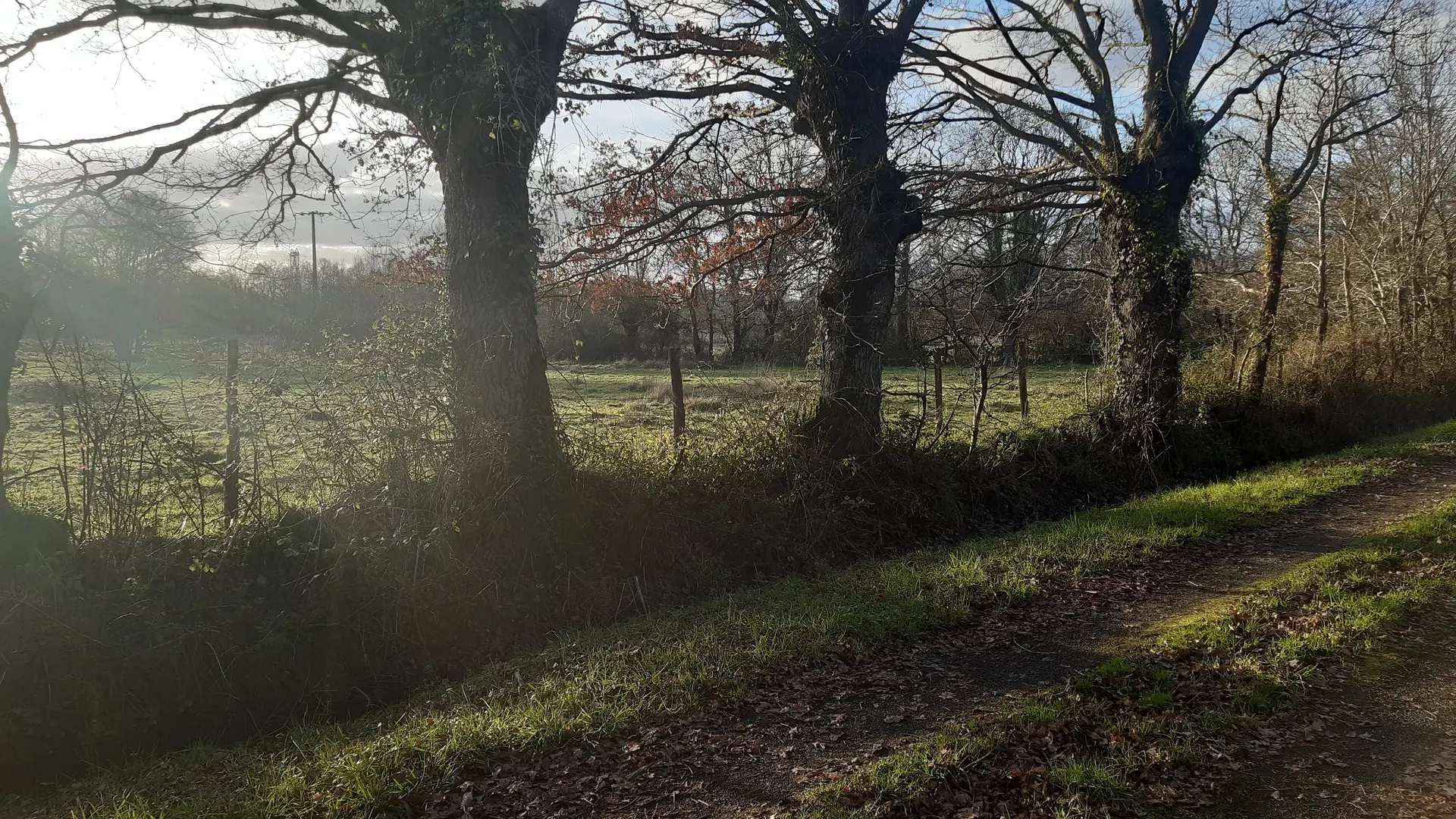 chemin longeant la propriété