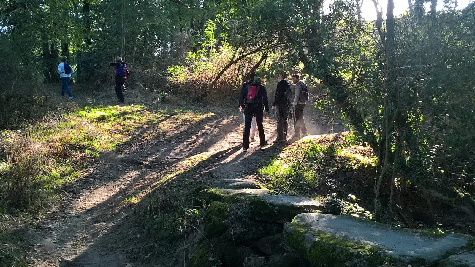circuit des rochers boussay (2)