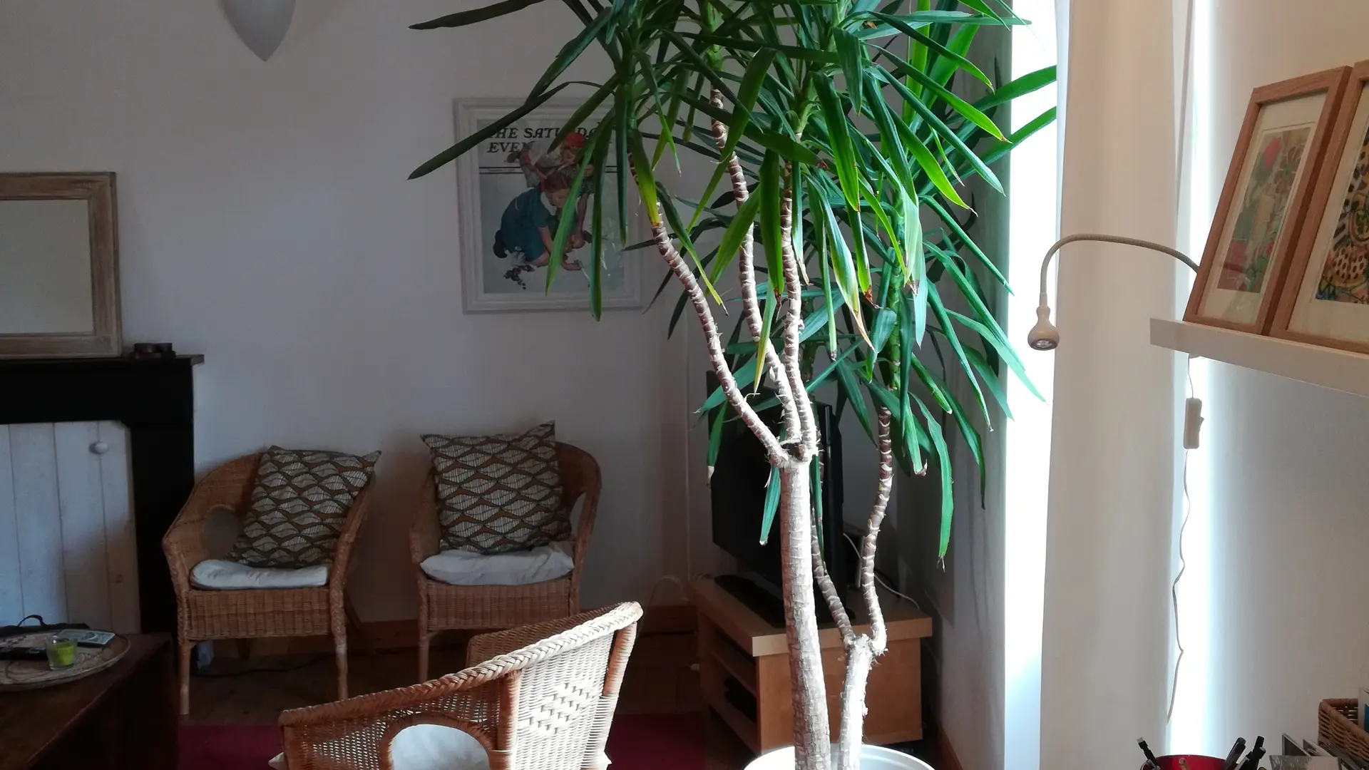espace bureau