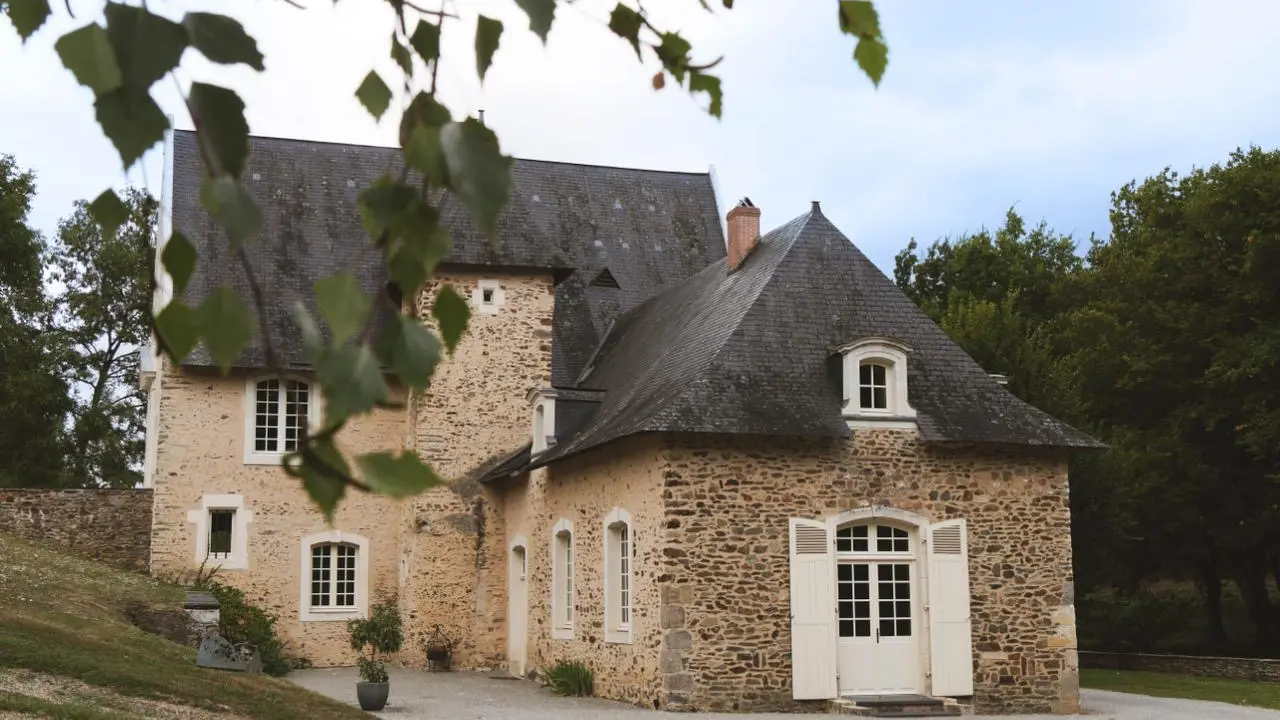 d6c52d22-e17b-4106-a706-3ed1d9b85c37