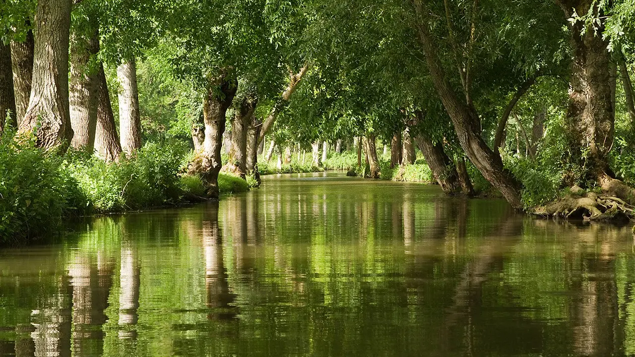 382459 - marais poitevin