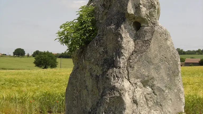 duneau-menhir-2