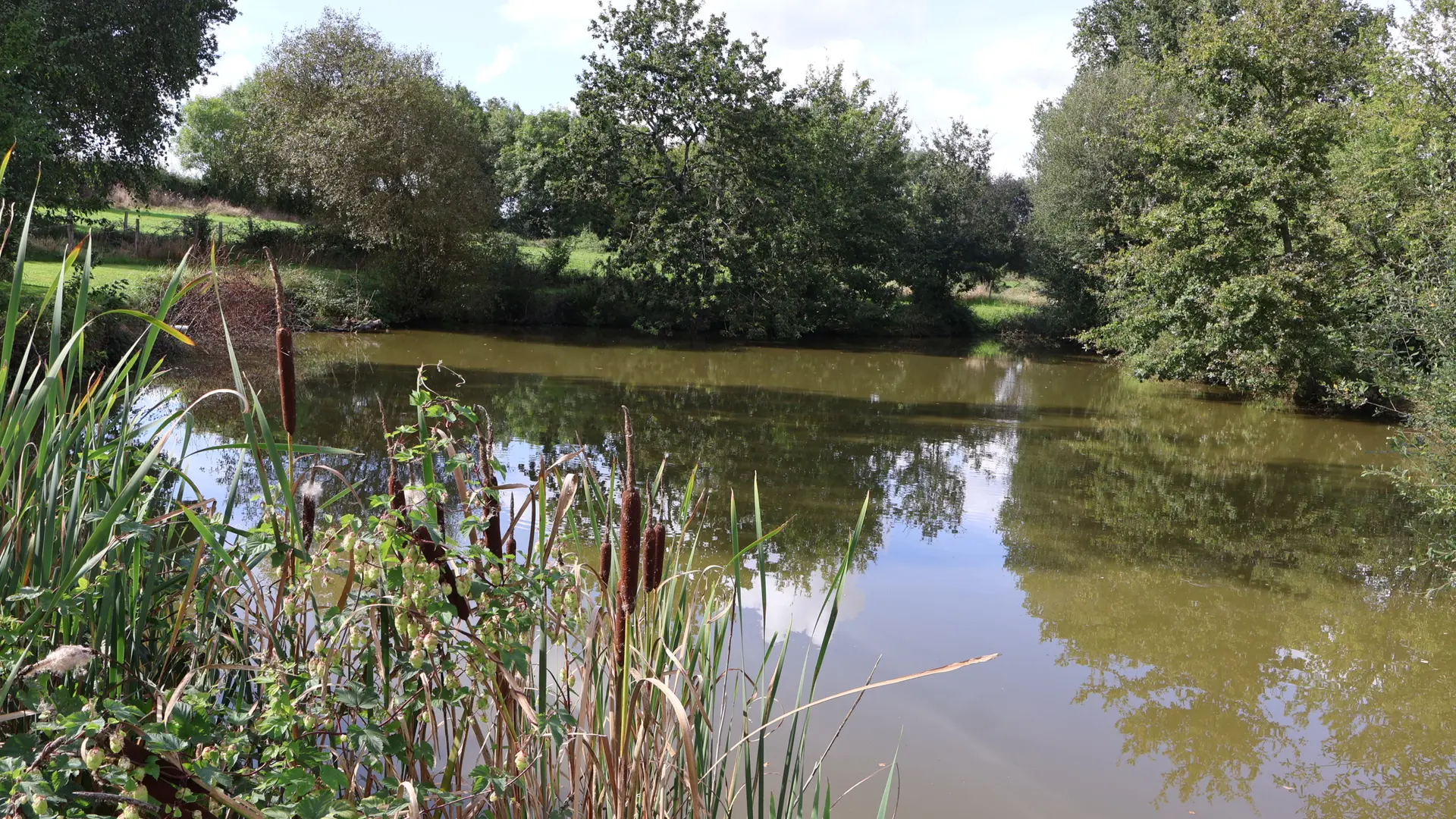 etang