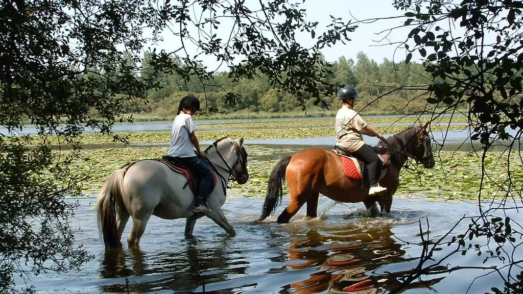 etang-neuf-juvigne-53-4