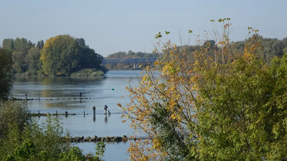 Application Baludik bords de Loire le vignoble de nantes tourisme