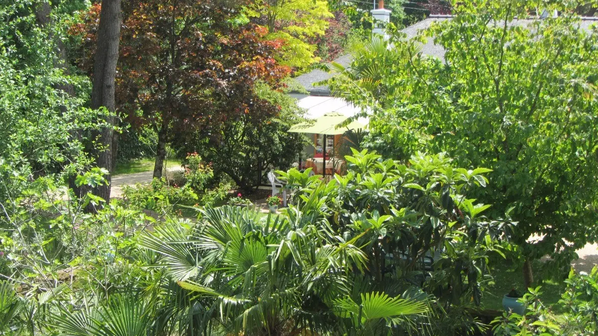 193906 - jardin